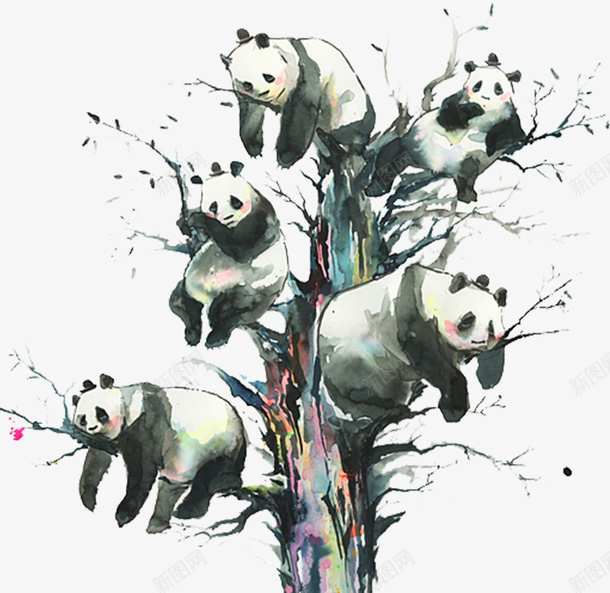 大树上的卡通熊猫png免抠素材_新图网 https://ixintu.com 动物 可爱的 国家保护动物 大树 水彩 熊猫