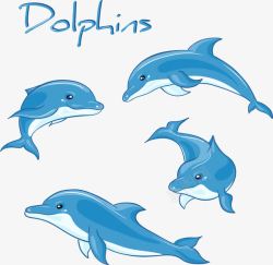 装饰海豚各种姿势矢量图素材