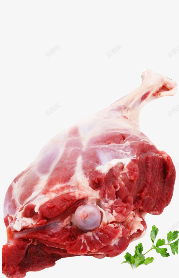 新鲜的羊腿实物图png免抠素材_新图网 https://ixintu.com 实物图 新鲜的 羊肉 羊肉汤 羊腿 美味的 肉食