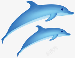 肚皮两条蓝色的海豚矢量图高清图片
