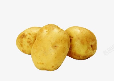 三颗土豆png免抠素材_新图网 https://ixintu.com 土豆 土豆丝 洋芋 粮食作物 马铃薯 黄色土豆 黄色马铃薯