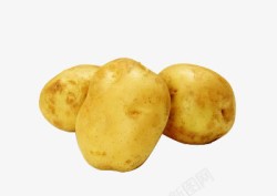粮食作物三颗土豆高清图片