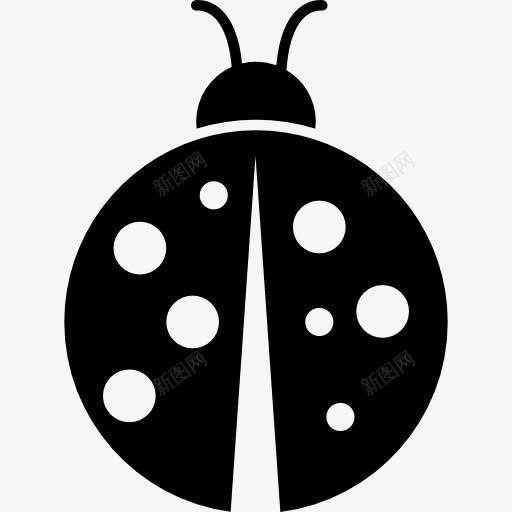 斑点甲虫昆虫花园图标png_新图网 https://ixintu.com 动物 发现 房子的事情 昆虫 甲虫 自然 院子里