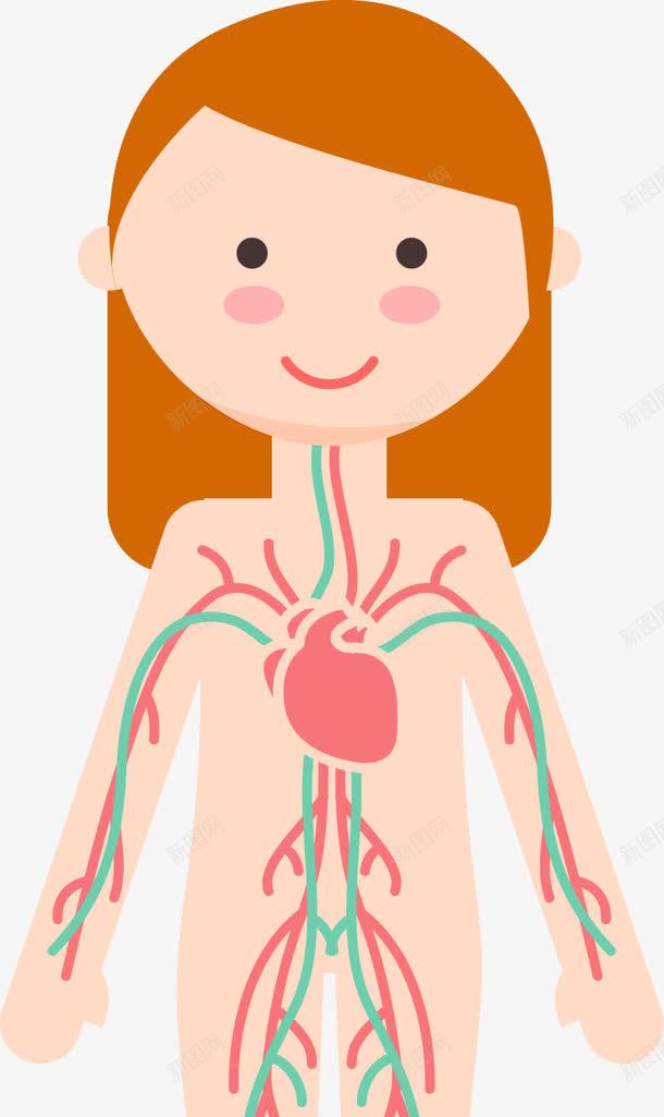 女子6大人体系统png免抠素材_新图网 https://ixintu.com 人体构造 内分泌系统 呼吸系统 消化系统 神经系统 脉管系统 运动系统