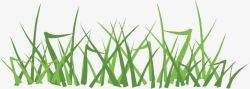 发芽的小麦苗麦苗背景高清图片