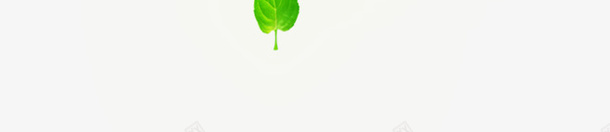 飘落的树叶png免抠素材_新图网 https://ixintu.com 树叶 气泡 装饰 飘落的树叶