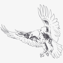 黑色的鹰卡通手绘飞翔的鹰图标高清图片
