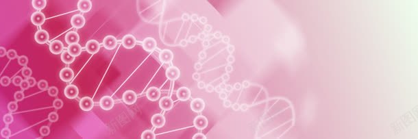 彩色DNA分子banner背景jpg设计背景_新图网 https://ixintu.com DNA分子 粉色背景
