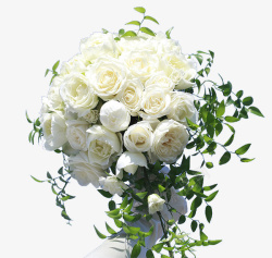白色花儿一束美丽的玫瑰花儿高清图片