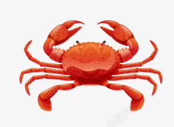 蟹壳卡通手绘红色螃蟹高清图片