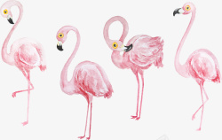 粉红色鸟卡通手绘夏天火烈鸟高清图片