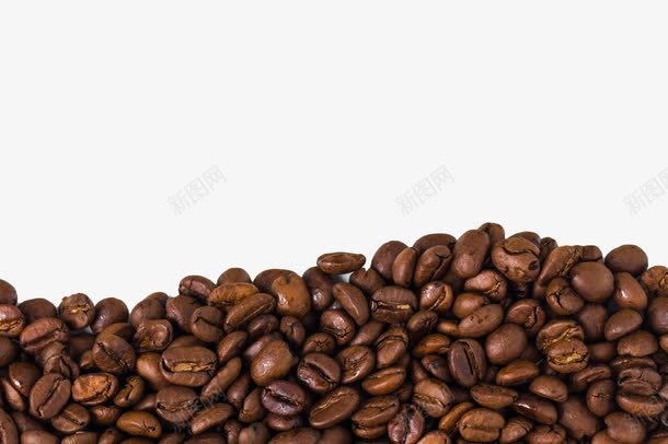 咖啡豆背景png免抠素材_新图网 https://ixintu.com 农作物种子 咖啡 植物 种子 种植