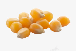 金黄的玉米粒实物饱满金黄的熟玉米粒高清图片