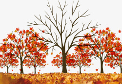 二十四节气秋分树木风景素材