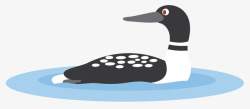 卡通水鸟细长的卡通潜鸟高清图片