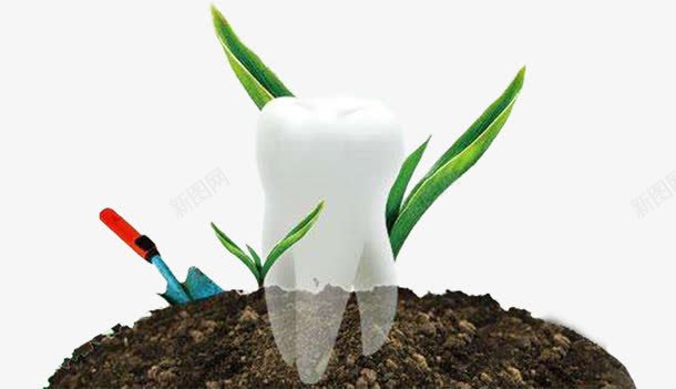 创意种植牙png免抠素材_新图网 https://ixintu.com 换牙 整牙 牙科 种植牙 镶牙