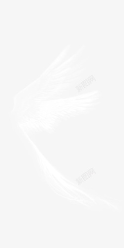 白色的小翅膀天使白色羽翼高清图片