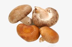 农产品香菇堆积的香菇高清图片