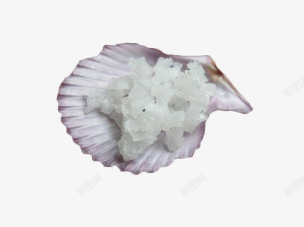 蚌壳里的海盐png免抠素材_新图网 https://ixintu.com 晶体 海盐 白色 盐晶 蚌壳 颗粒
