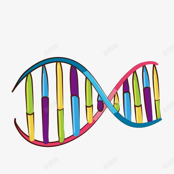 DNA矢量图ai免抠素材_新图网 https://ixintu.com 人体 基因 生物 遗传 矢量图