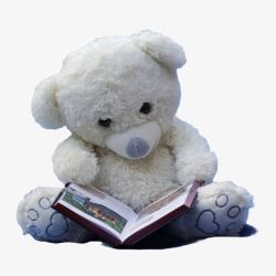 熊娃娃在看书素材