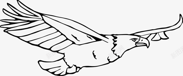 飞翔的老鹰图标png_新图网 https://ixintu.com PNG图形 PNG装饰 手绘 翅膀 老鹰 装饰 飞禽
