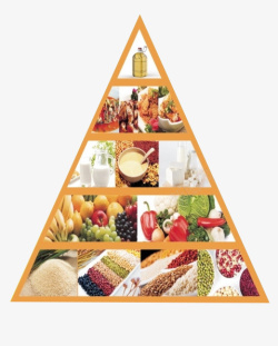 食物参照表每日营养表高清图片