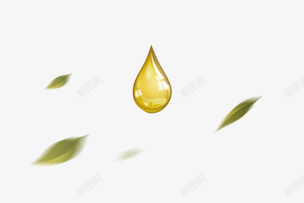橄榄油滴png免抠素材_新图网 https://ixintu.com 树叶 橄榄 橄榄油 橄榄素材