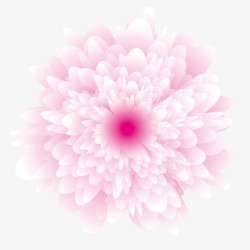 玫瑰花精油粉色花朵高清图片