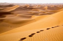 撒哈拉沙漠景区著名非洲撒哈拉沙漠高清图片