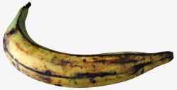 腐烂香蕉即将腐烂的香蕉高清图片