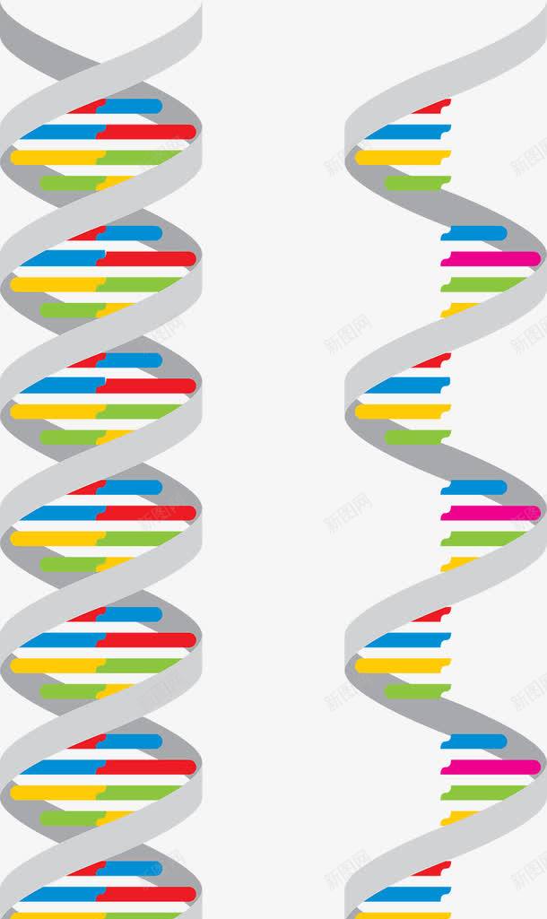 可爱彩色DNAPPT元素png免抠素材_新图网 https://ixintu.com DNA双螺旋 可爱 彩色