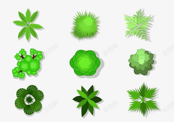 绿色的植物png免抠素材_新图网 https://ixintu.com 俯视图 树叶 植物 绿色 装饰