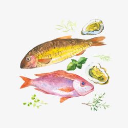 手绘海鲜鱼图案素材