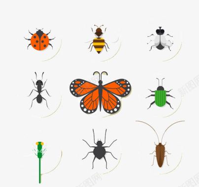 9款精致昆虫图标图标