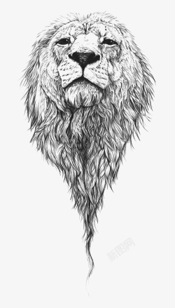 卡通手绘水墨狮子头像素材