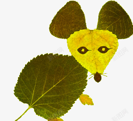 餐饮树叶拼贴成的老鼠png免抠素材_新图网 https://ixintu.com 动物 叶子 抽象 植物 老鼠 耗子