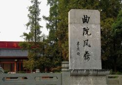 杭州曲院风荷著名西湖曲院风荷高清图片