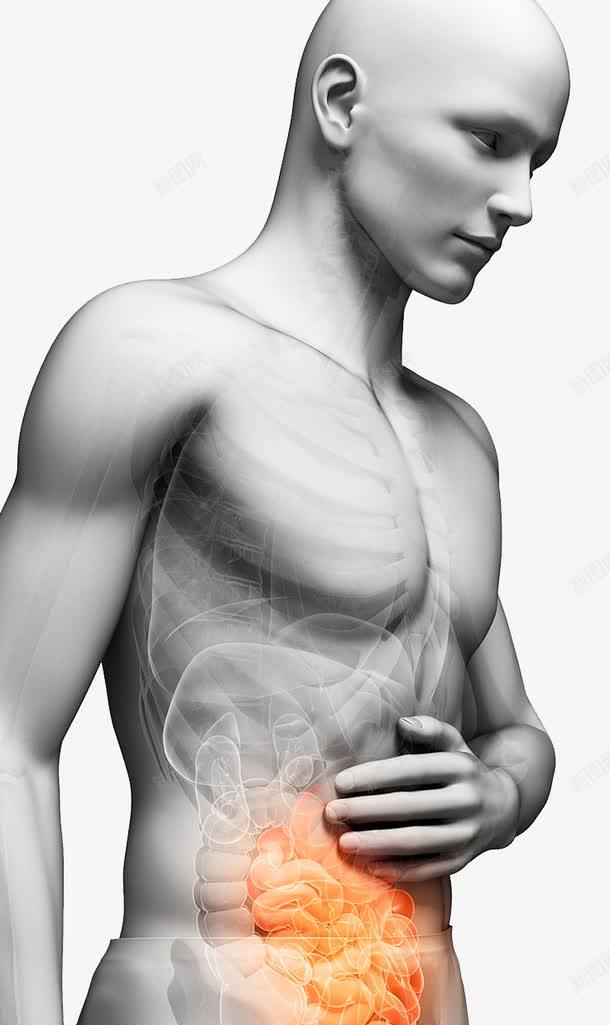 肠胃炎疼痛png免抠素材_新图网 https://ixintu.com 疼痛 肠胃炎 腹痛 身体结构