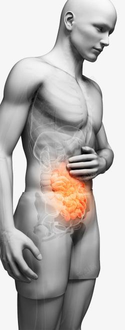 身体肠胃肠胃炎疼痛高清图片