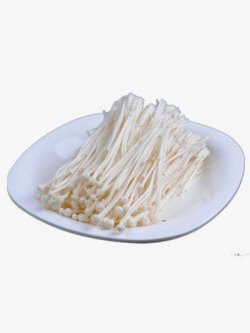 白色蘑菇png一盘金针菇高清图片