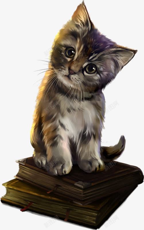 好奇的小猫png免抠素材_新图网 https://ixintu.com 好奇 小猫 歪头 猎奇 猫咪