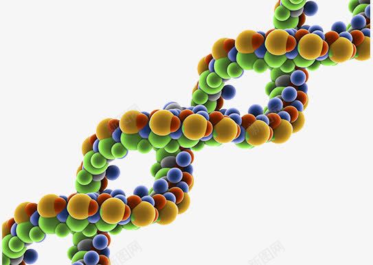 生物细胞分子结构psd免抠素材_新图网 https://ixintu.com 基因检测 效果图 生物学 遗传学