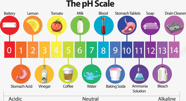 食物含量酸碱平衡值矢量图ai免抠素材_新图网 https://ixintu.com 矢量png 酸碱 酸碱值 酸碱平衡值 食物 食物酸碱值 矢量图