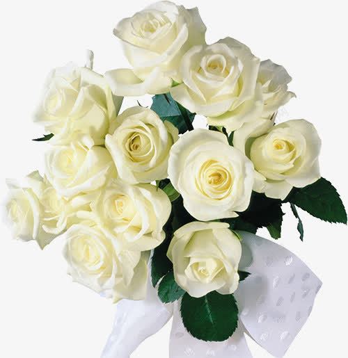 白玫瑰花束png免抠素材_新图网 https://ixintu.com 白玫瑰 绿叶 花球 装饰元素
