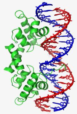 生物DNA图素材