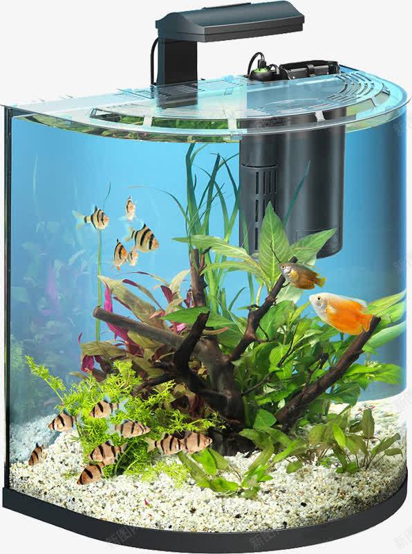 自动换水鱼缸png免抠素材_新图网 https://ixintu.com 养鱼 水缸 水草 透明玻璃 金鱼 鱼缸