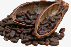 咖啡籽咖啡籽高清图片