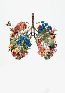 肝脏创意花卉拼贴肝脏图高清图片
