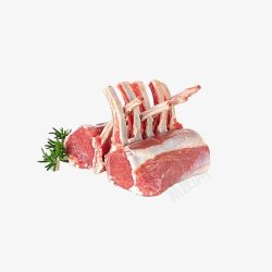 新鲜肉类猪肉排骨元素素材